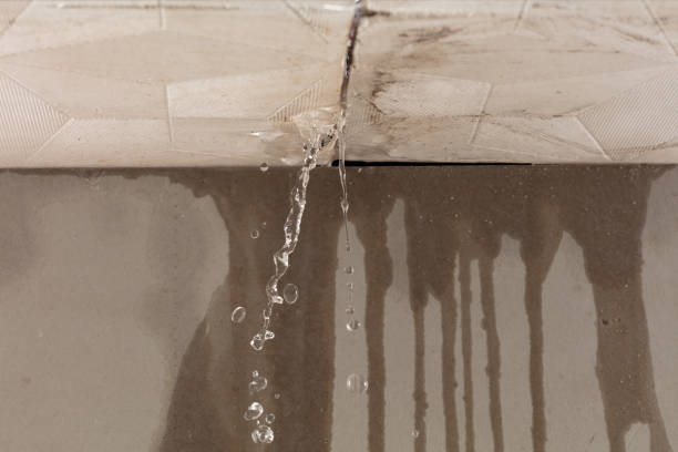 Professional Emergency Water Removal technician working in Takoma Park, MD